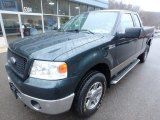 2006 Ford F150 XLT SuperCab 4x4 Data, Info and Specs