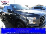 2016 Lithium Gray Ford F150 XLT SuperCrew 4x4 #111066056