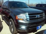 2016 Magnetic Metallic Ford Expedition XLT #111105773