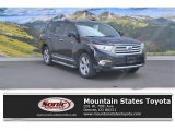 2011 Black Toyota Highlander Limited #111153692