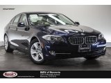 2013 Imperial Blue Metallic BMW 5 Series 528i Sedan #111184317