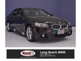 2016 Jet Black BMW 5 Series 528i Sedan #111213659