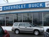 2006 Steel Gray Metallic Subaru Forester 2.5 X #11133997