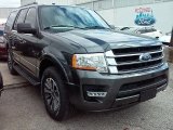 2016 Magnetic Metallic Ford Expedition XLT #111500876