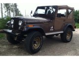 1977 Jeep CJ5 Golden Eagle