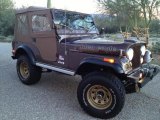 1977 Jeep CJ5 Golden Eagle Exterior