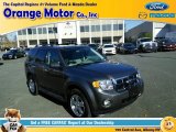 2012 Sterling Gray Metallic Ford Escape XLT 4WD #111738325