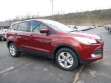 2016 Sunset Metallic Ford Escape SE 4WD #111809252