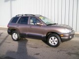 2005 Hyundai Santa Fe LX 3.5 4WD