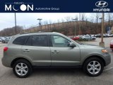 2007 Natural Khaki Green Hyundai Santa Fe SE 4WD #111951415