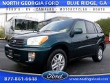 Rainforest Green Pearl Toyota RAV4 in 2003