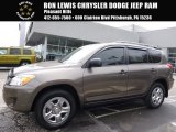 2010 Toyota RAV4 I4 4WD