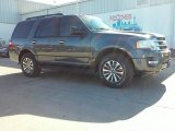 Magnetic Metallic Ford Expedition in 2016