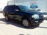 Green Gem Metallic Ford Expedition in 2016