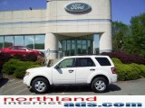 2009 Ford Escape XLT V6 4WD