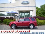 2009 Sangria Red Metallic Ford Escape XLT 4WD #11208395