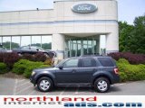 2009 Black Pearl Slate Metallic Ford Escape XLT V6 4WD #11208397