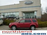 2008 Redfire Metallic Ford Escape XLT V6 4WD #11208543