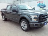 2016 Magnetic Ford F150 XL SuperCrew #112550724