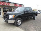 Tuxedo Black Metallic Ford F150 in 2013