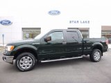 2013 Ford F150 XLT SuperCrew 4x4