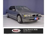 2001 BMW 7 Series Orinocco Grey Metallic