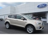 2017 White Gold Ford Escape SE #112800938
