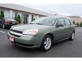 2005 Silver Green Metallic Chevrolet Malibu Maxx LS Wagon #11264894