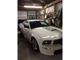 2007 Performance White Ford Mustang GT Deluxe Coupe #112893673