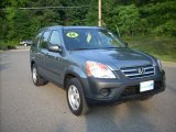 2006 Silver Moss Metallic Honda CR-V LX 4WD #11252687