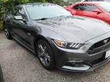 2016 Magnetic Metallic Ford Mustang GT Coupe #113033752