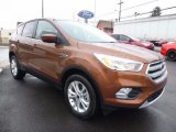 Canyon Ridge Ford Escape in 2017