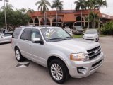 Ingot Silver Metallic Ford Expedition in 2016