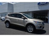2017 White Gold Ford Escape SE #113197380