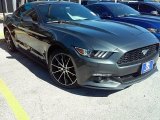 2016 Magnetic Metallic Ford Mustang EcoBoost Coupe #113260529