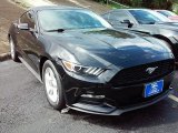 2016 Shadow Black Ford Mustang V6 Coupe #113366693