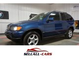 2003 Topaz Blue Metallic BMW X5 3.0i #113374085