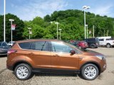 2017 Ford Escape SE 4WD