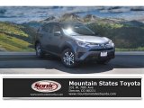 2016 Magnetic Gray Metallic Toyota RAV4 LE AWD #113563399