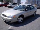 2006 Silver Frost Metallic Ford Taurus SE #11355661