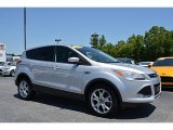 2013 Ford Escape SEL 1.6L EcoBoost 4WD