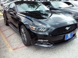 2016 Shadow Black Ford Mustang EcoBoost Coupe #113614809