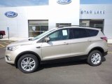 2017 White Gold Ford Escape SE 4WD #113713635