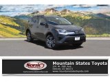 2016 Magnetic Gray Metallic Toyota RAV4 LE AWD #113742610