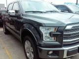 2016 Magnetic Ford F150 Platinum SuperCrew 4x4 #113742652