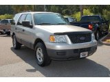 2005 Silver Birch Metallic Ford Expedition XLS #11352616