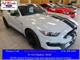 2016 Avalanche Gray Ford Mustang Shelby GT350 #113803474