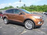 2017 Canyon Ridge Ford Escape Titanium 4WD #113818804