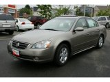 2003 Polished Pewter Metallic Nissan Altima 2.5 SL #11352539