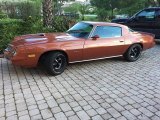 1980 Chevrolet Camaro Sport Coupe Exterior